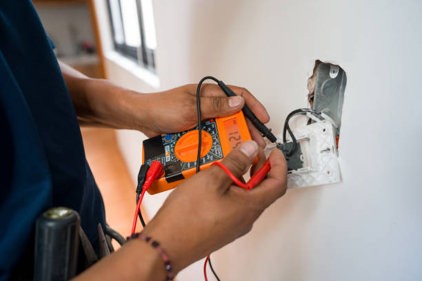 Best Electric Panel Repair  in Princeton, FL